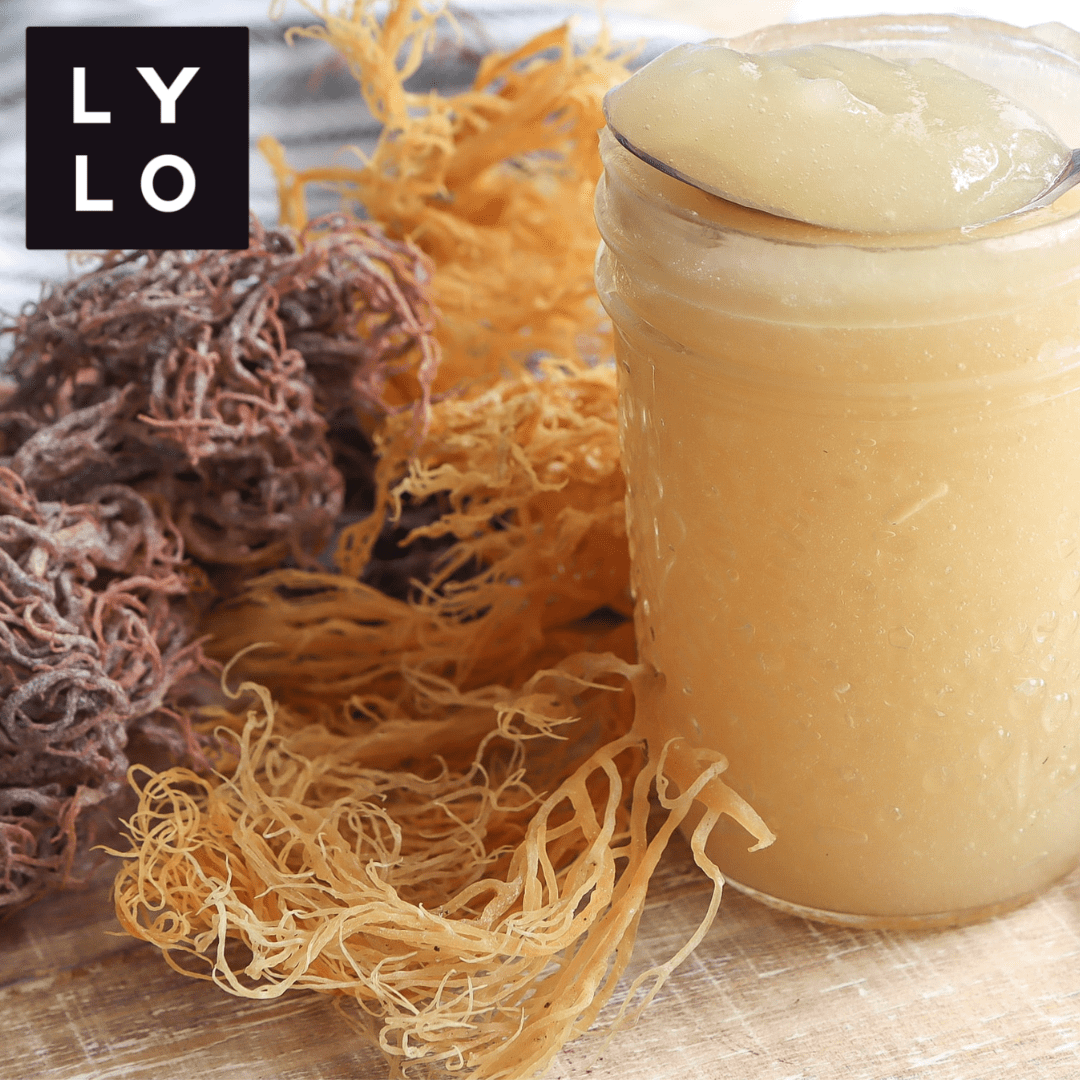 Irish Sea Moss Gel - LYLO