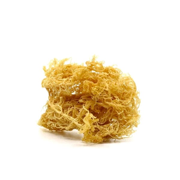 Irish Sea Moss - LYLO